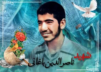 وصیت نامه شهید ناصرالدین باغانی